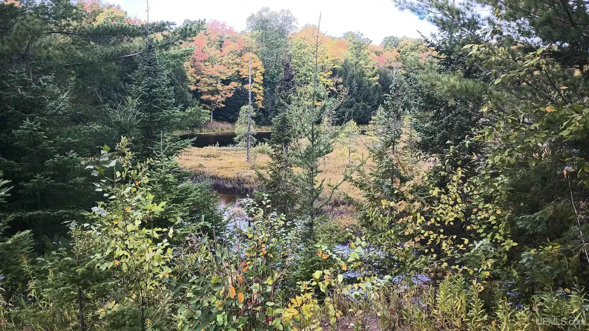 Lot 8 Chaney Cove, Bessemer, MI 49911 - #1