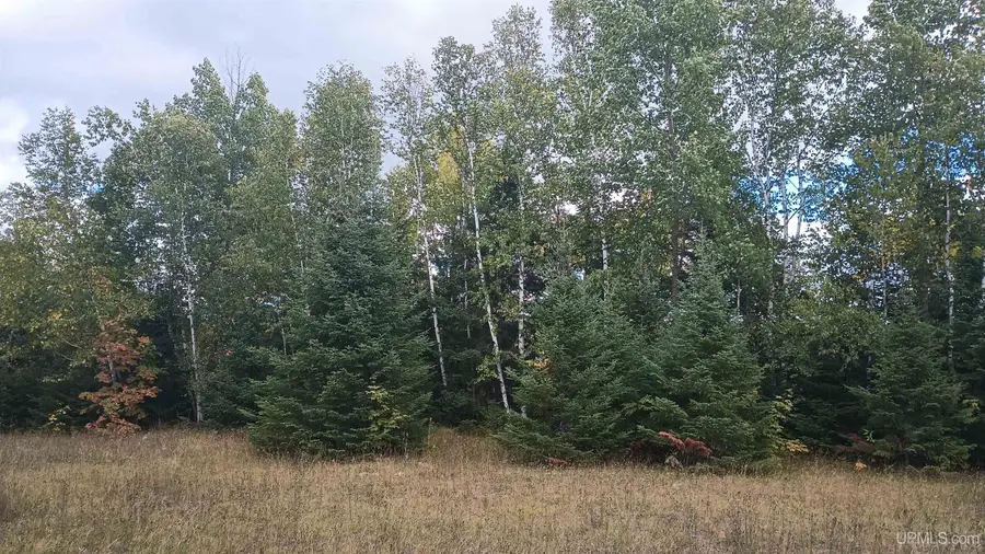 Lot 8 Chaney Cove, Bessemer, MI 49911 - #2