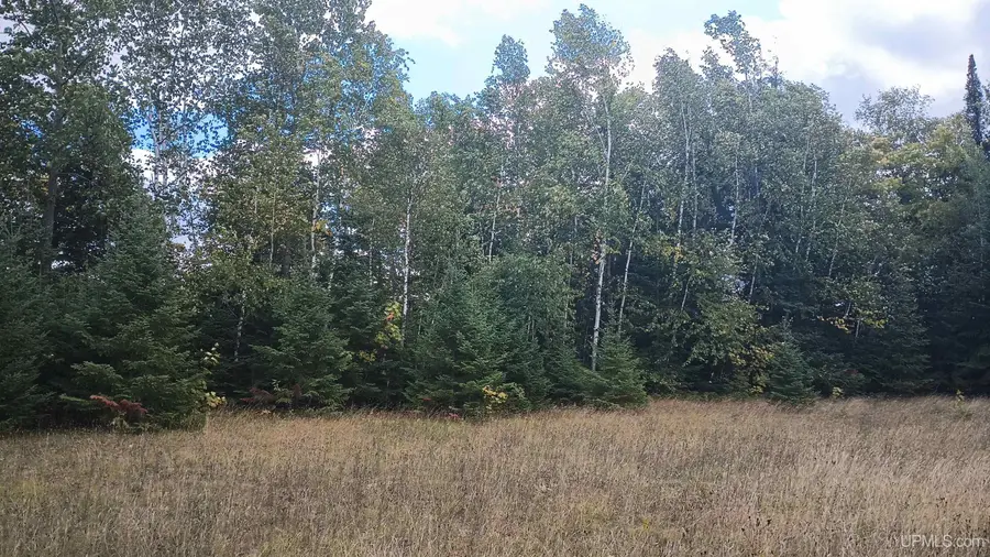 Lot 8 Chaney Cove, Bessemer, MI 49911 - #3