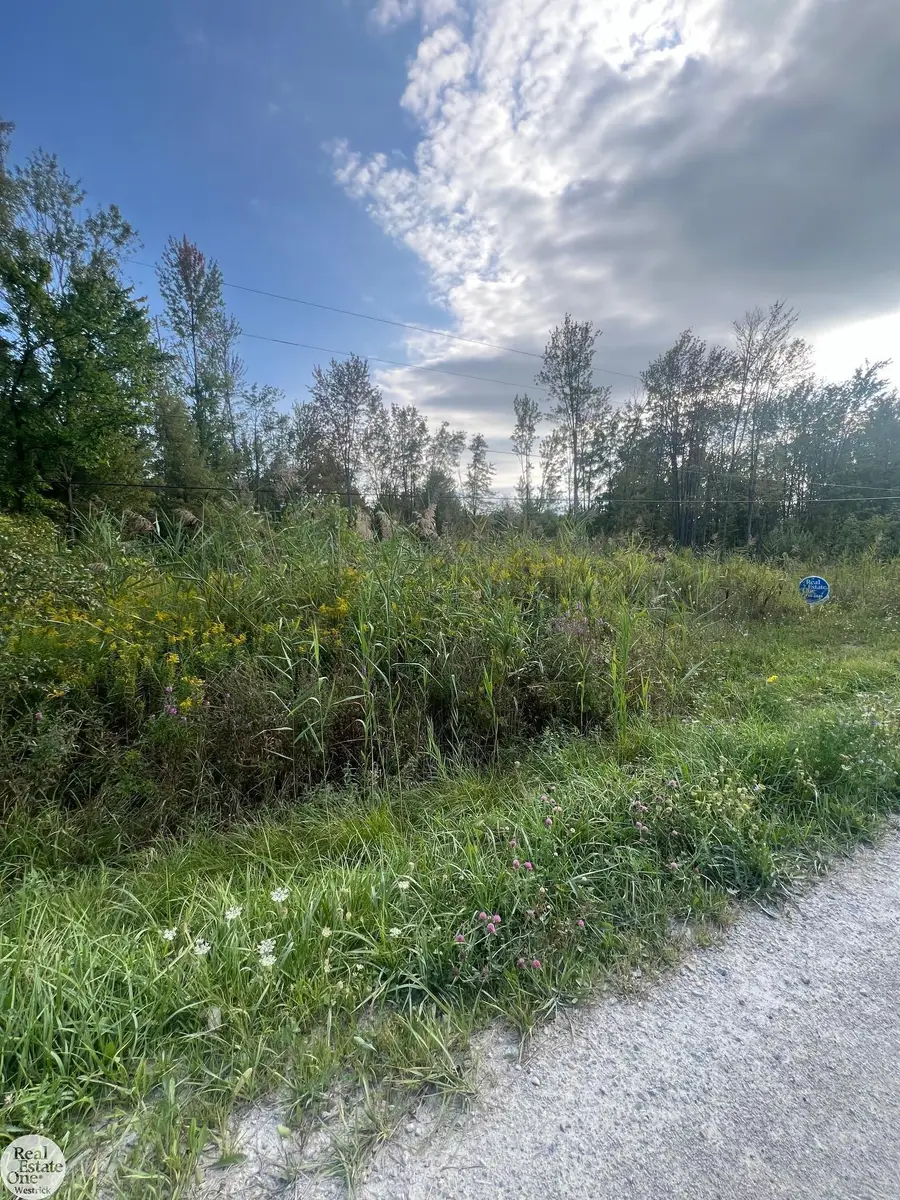 0 Broadbridge, Marine City, MI 48039 - #2