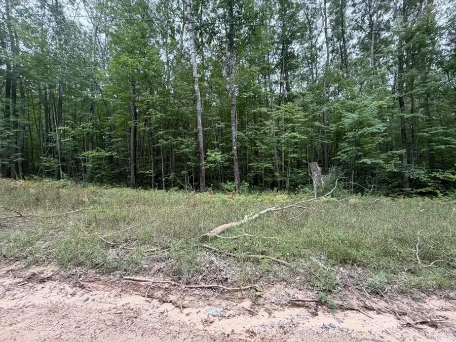 VL Rolling, Lake, MI 48632 - #2