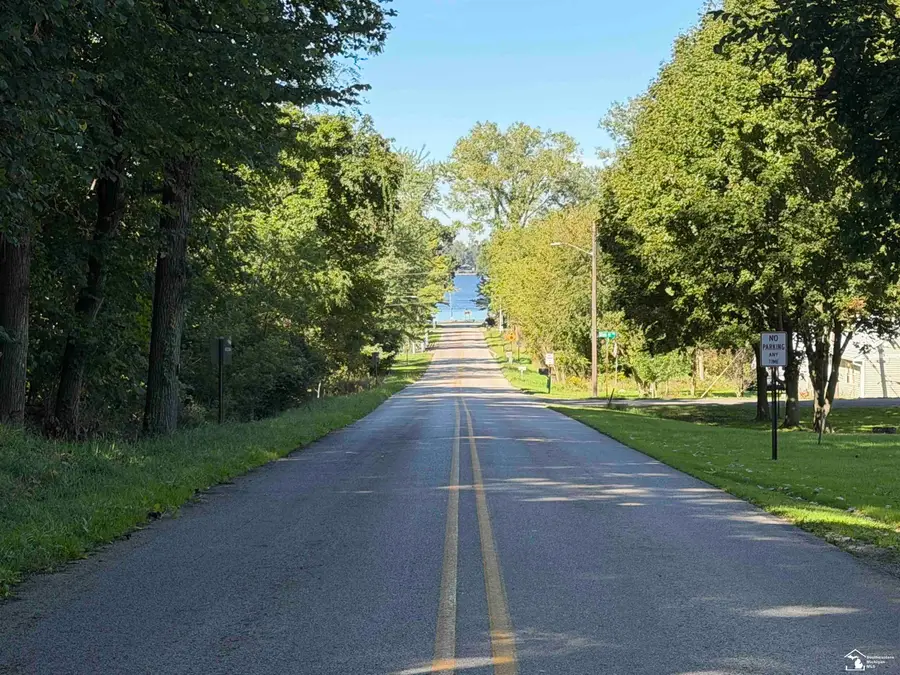 14000 Sandy Beach, Manitou Beach, MI 49253 - #2