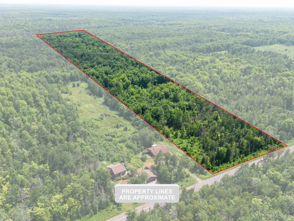 20 Acres TBD Dukes, Skandia, MI 49885 - #1