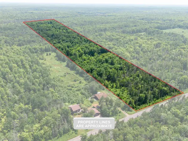 20 Acres TBD Dukes, Skandia, MI 49885