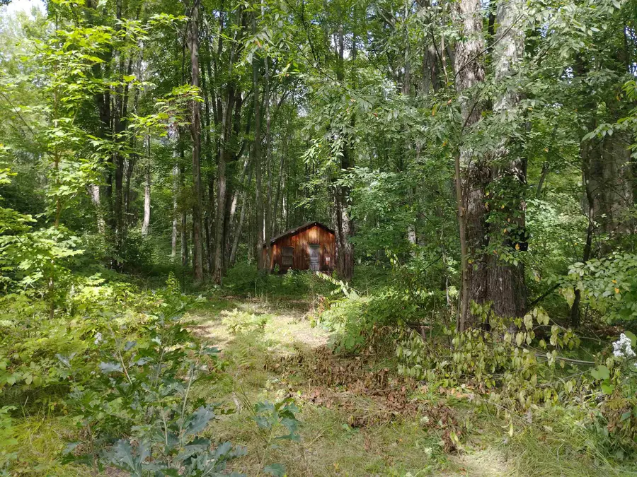Lot 13 Maple Lane, Harrison, MI 48625 - #2