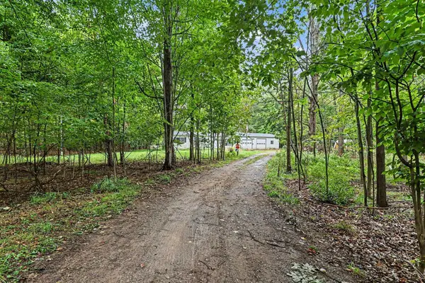 18287 Nelson, Saint Charles, MI 48655