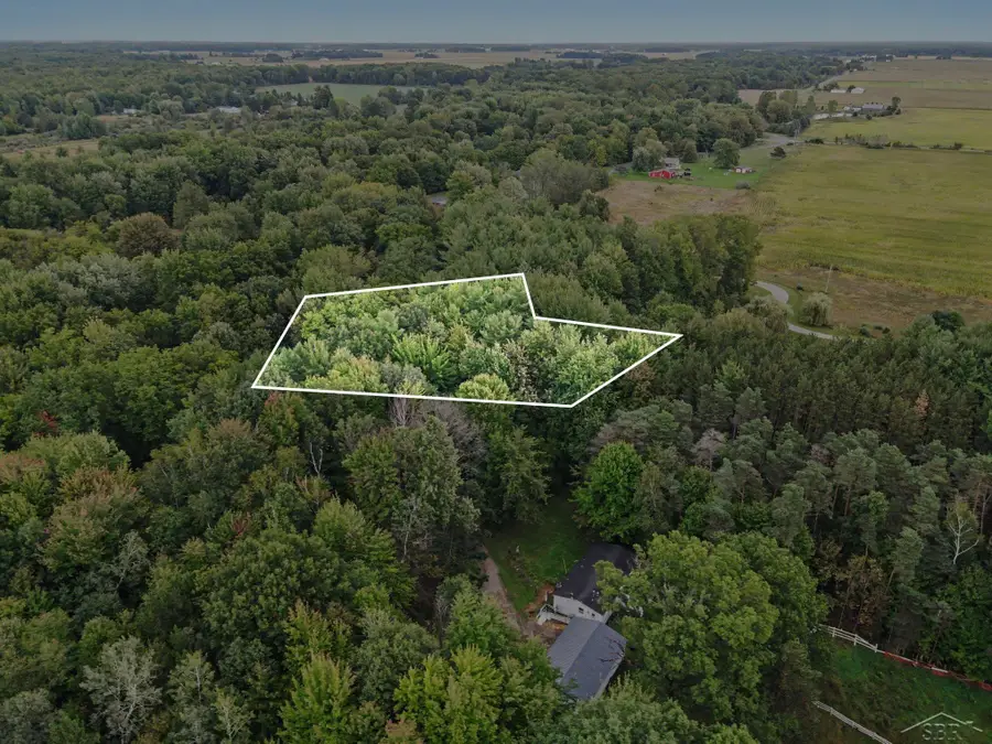 18287 Nelson, Saint Charles, MI 48655 - #3