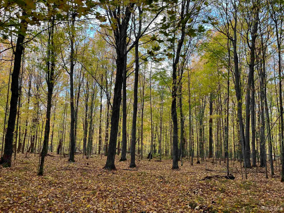 Lot 3 Porcupine Lake, Long Lake, WI 54542 - #1