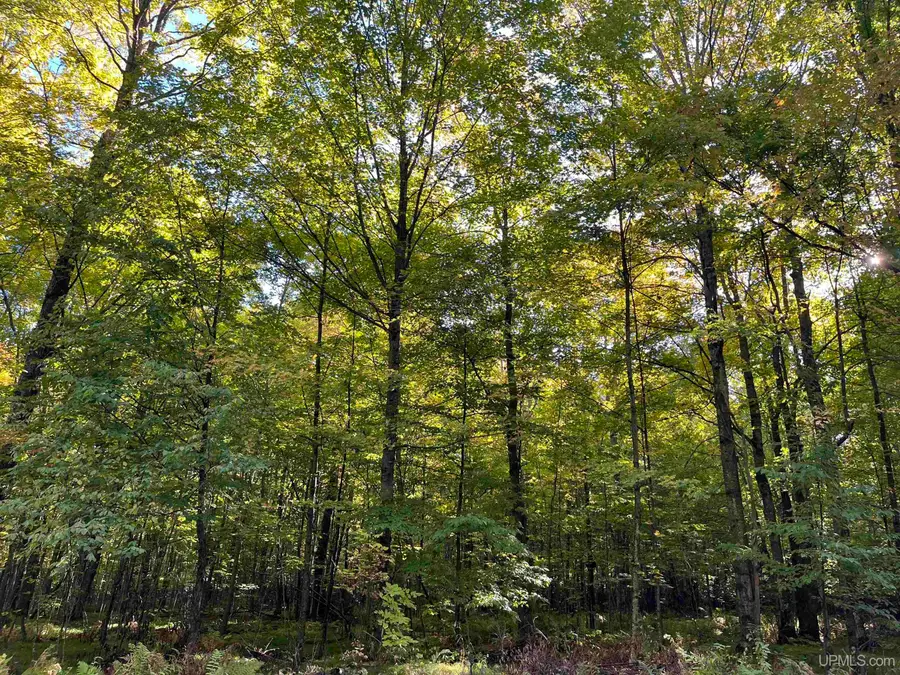 Lot 3 Porcupine Lake, Long Lake, WI 54542 - #3