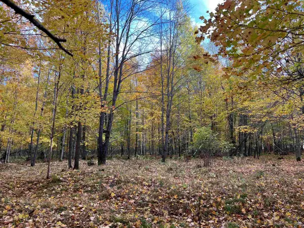 Lot 4 Porcupine Lake, Long Lake, WI 54542