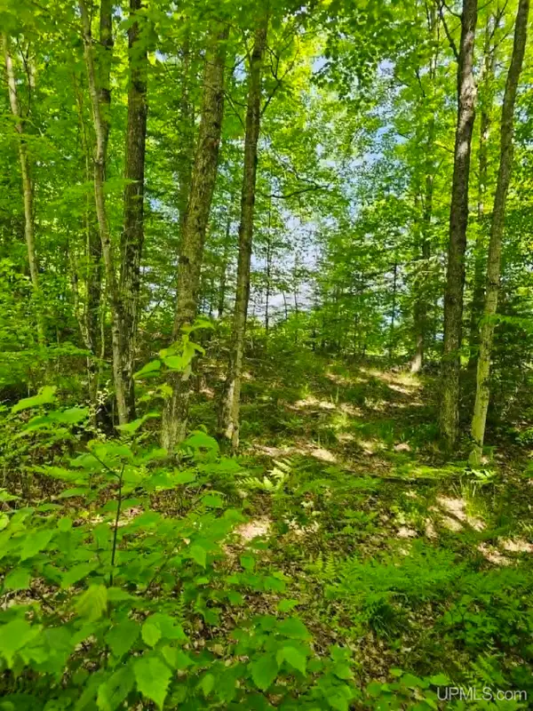 W Herzog, Iron Mountain, MI 49801