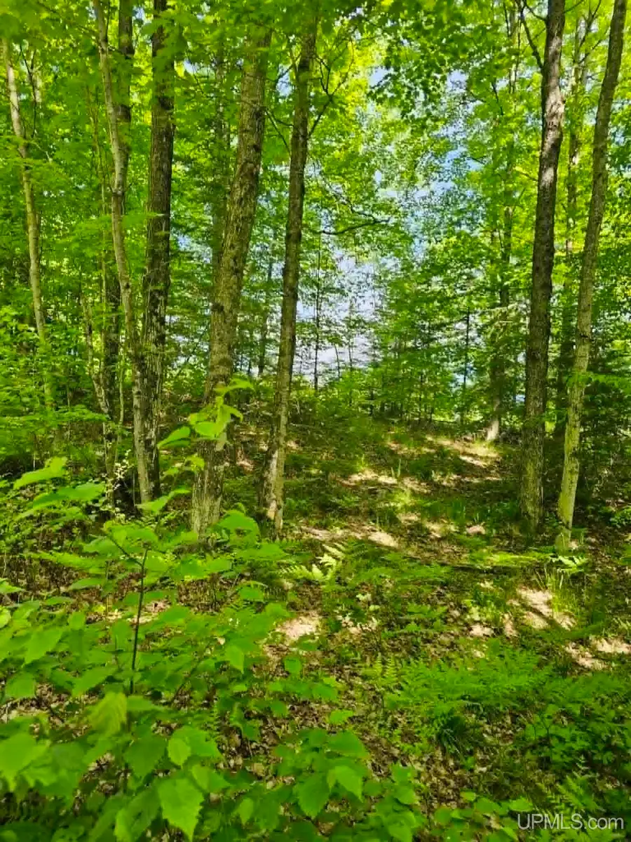 W Herzog, Iron Mountain, MI 49801 - #3