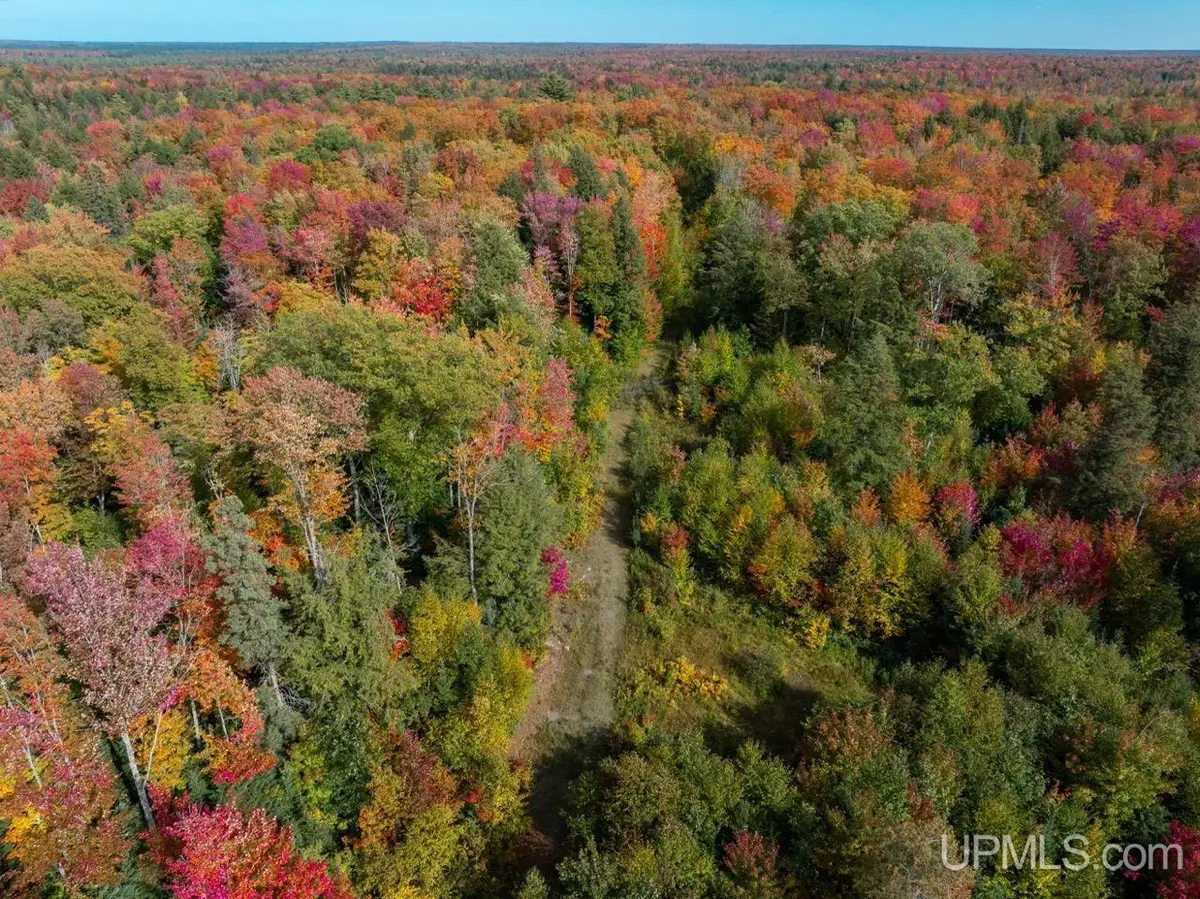 316 acres Us 141, Covington, MI 49919 - #1