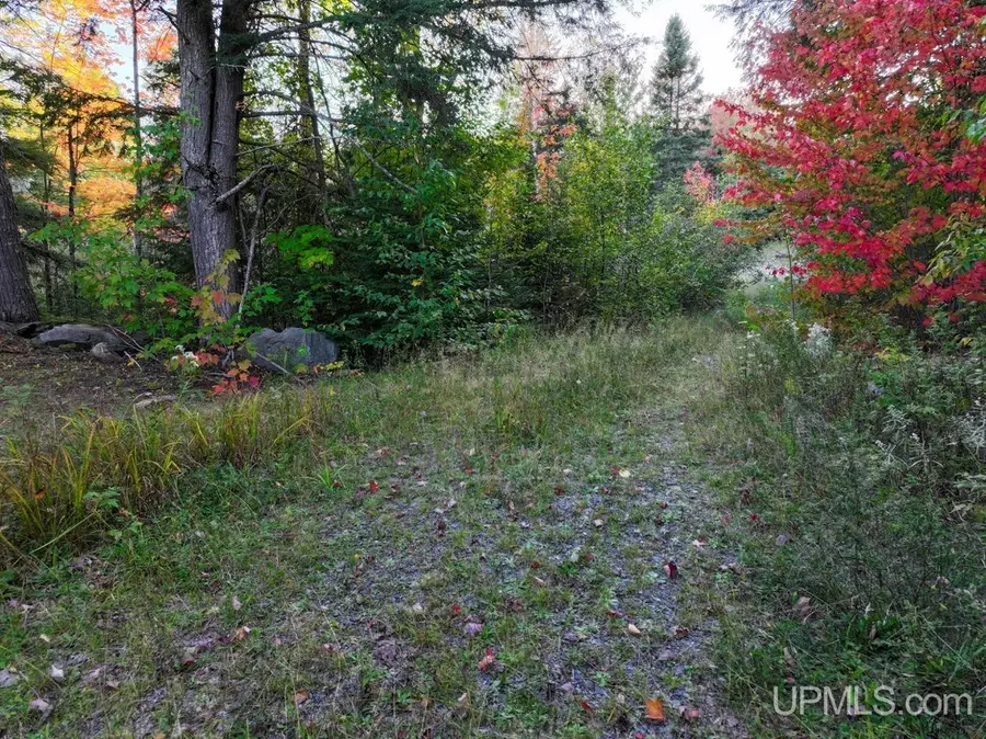 316 acres Us 141, Covington, MI 49919 - #3