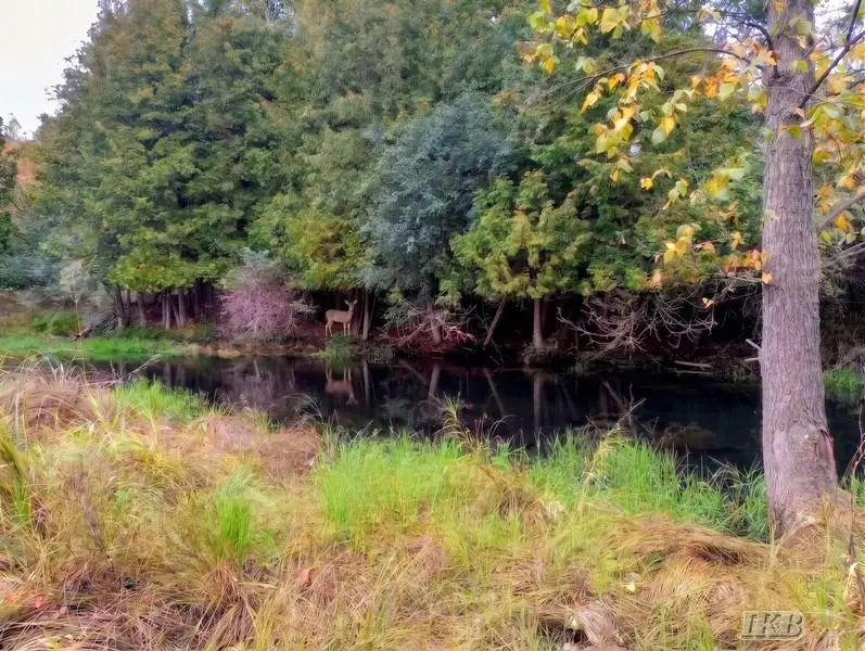 35.11 Acres N Hockaday, Gladwin, MI 48624 - #1