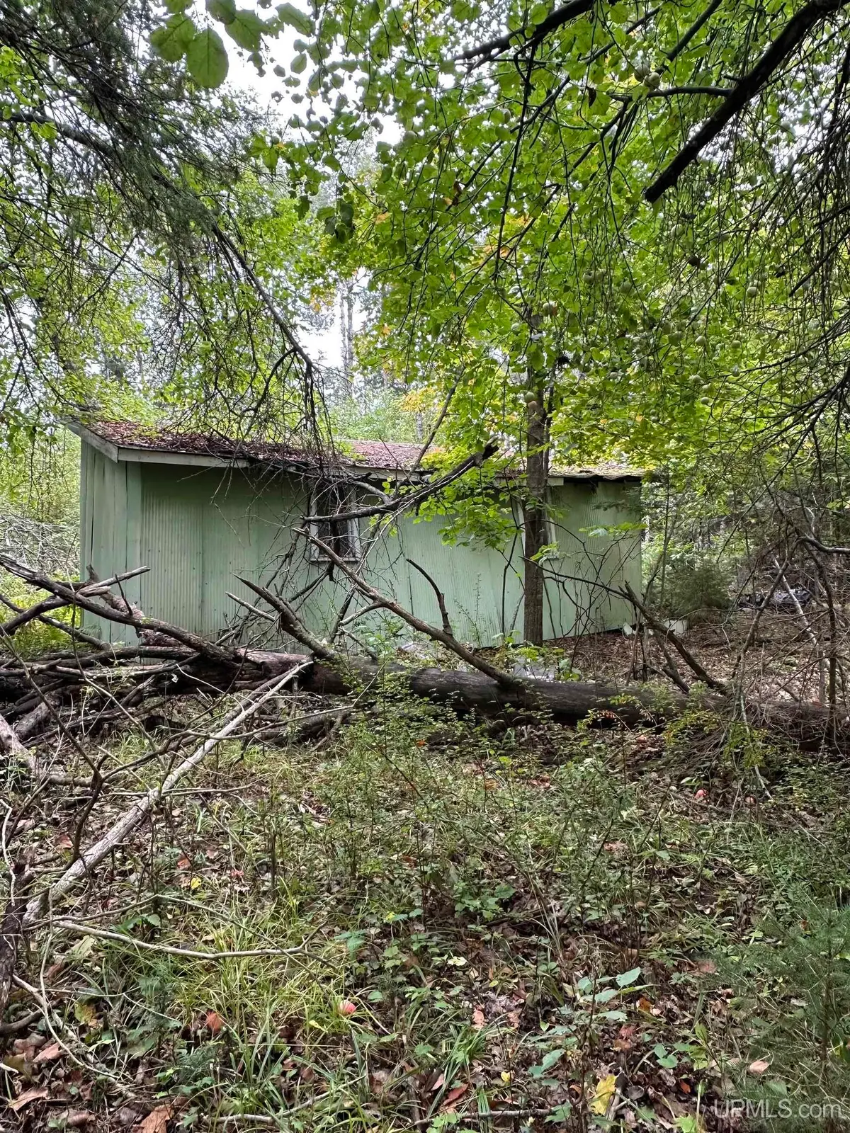 TBD Hibbard, Iron River, MI 49935 - #1