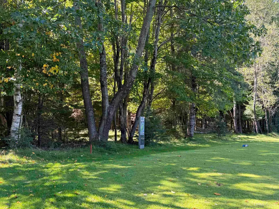 TBD Days River 24.5 Rd, Gladstone, MI 49837 - #3