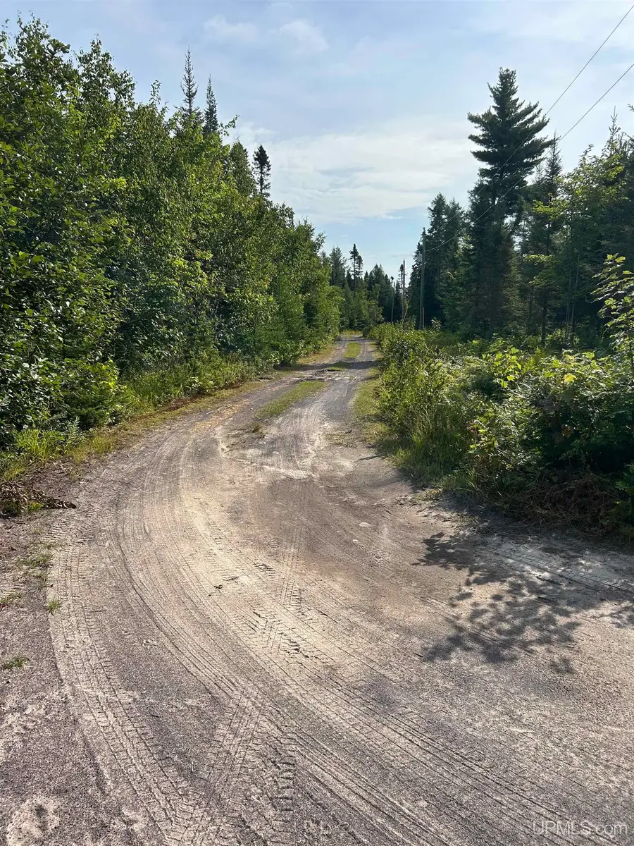 TBD - West Lot Potato Patch, Lake Linden, MI 49945 - #2