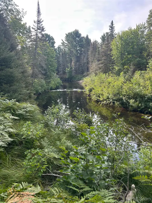 TBD- East Lot Potato Patch, Lake Linden, MI 49945