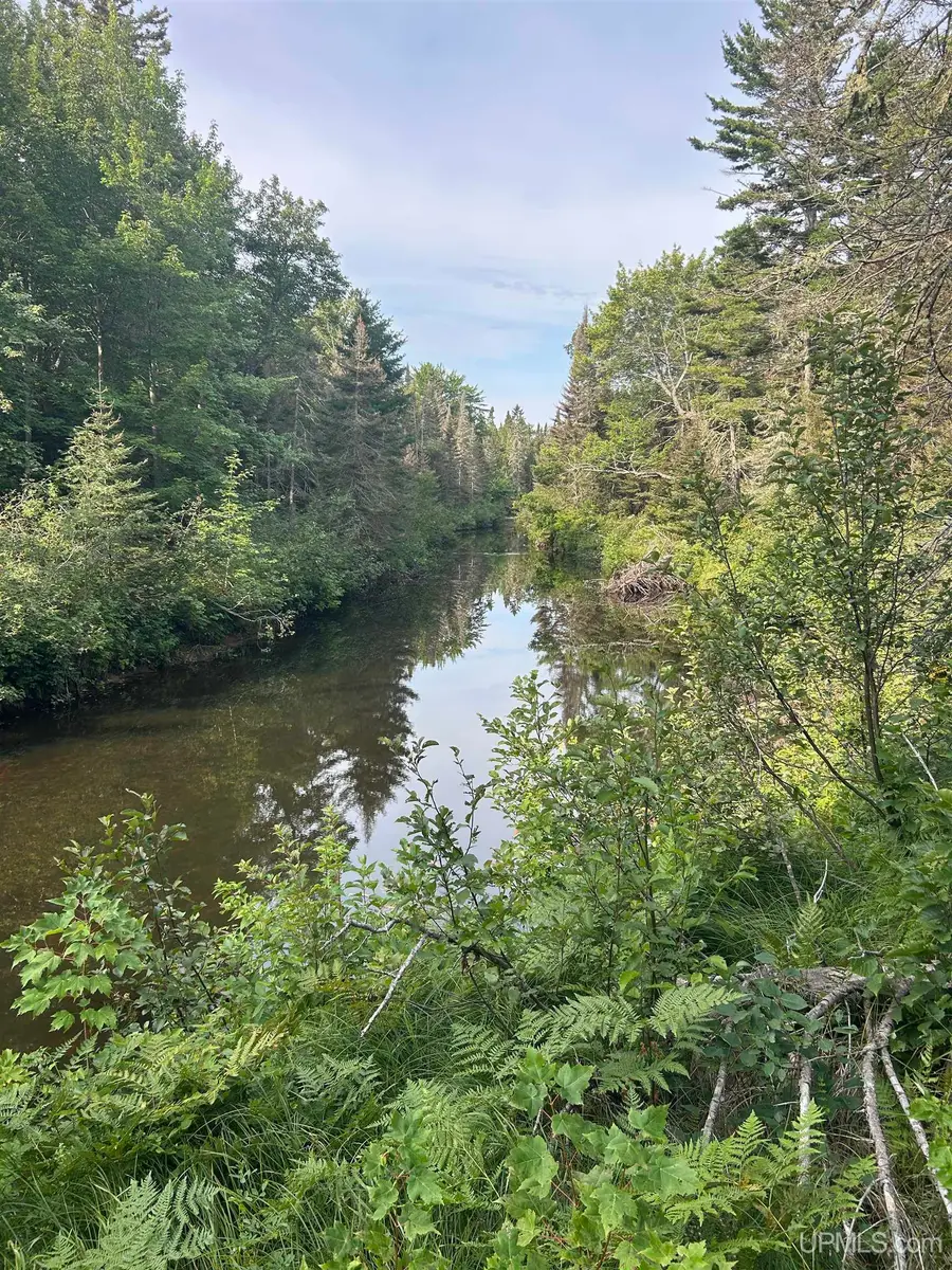 TBD-2 Potato Patch, Lake Linden, MI 49945 - #2