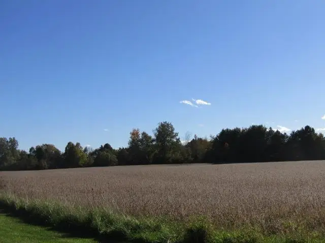Garrison, Laingsburg, MI 48848 - #2
