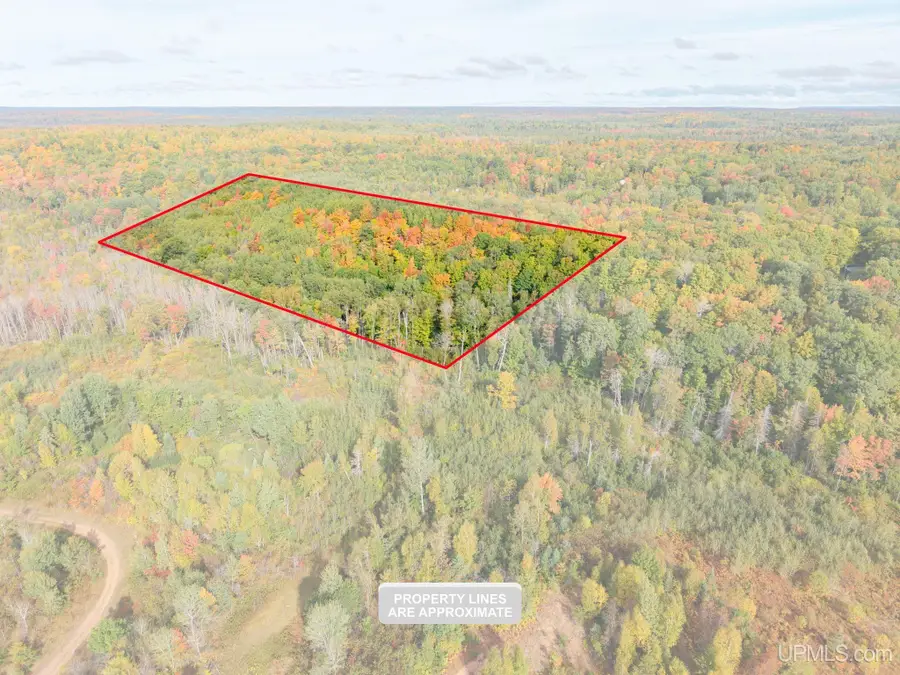 TBD Co Rd Cn, Ishpeming, MI 49849 - #2