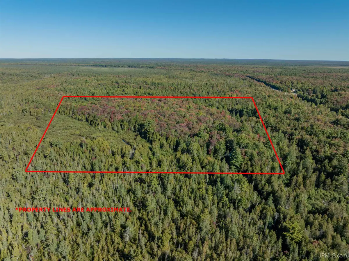 9553 N M94, Manistique, MI 49854 - #1
