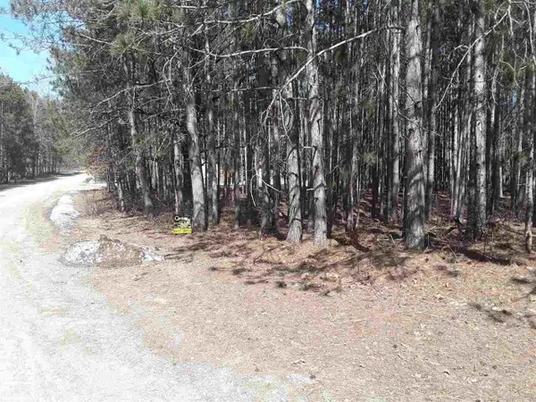 12380 Pine Mesa, Stanwood, MI 49346