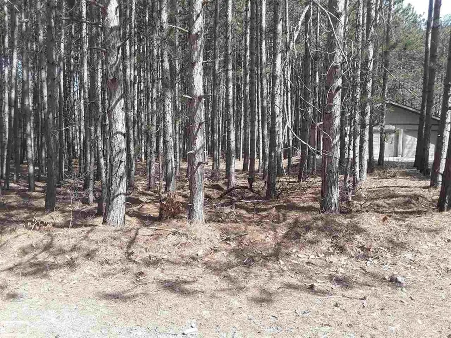 12380 Pine Mesa, Stanwood, MI 49346 - #3