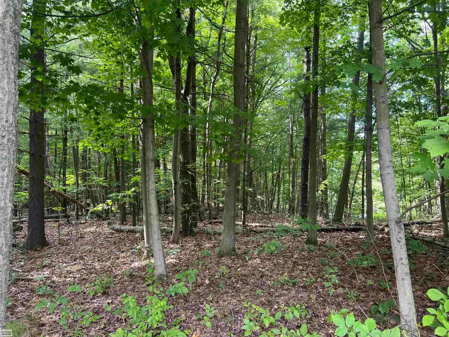 0 Burton, Mussey, MI 48014 - #3