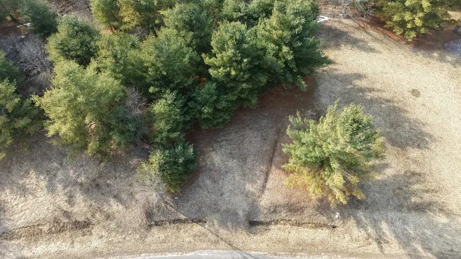 Lot 59 Worchester, Gladwin, MI 48624 - #2