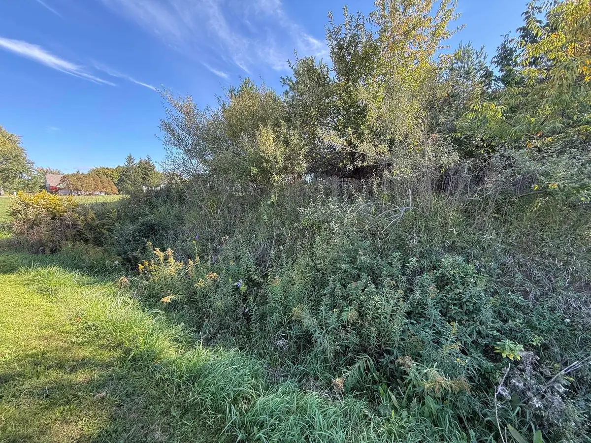 lot 67 Hamilton, Gladwin, MI 48624 - #1