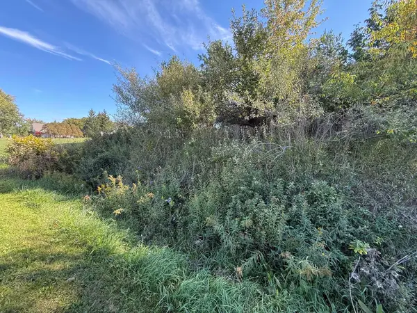 lot 67 Hamilton, Gladwin, MI 48624