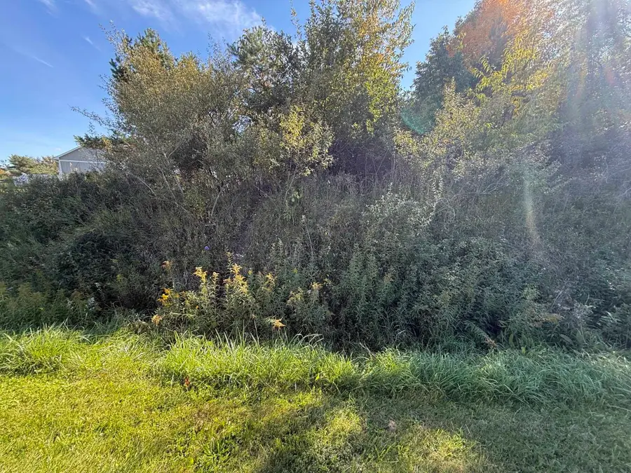 lot 67 Hamilton, Gladwin, MI 48624 - #2