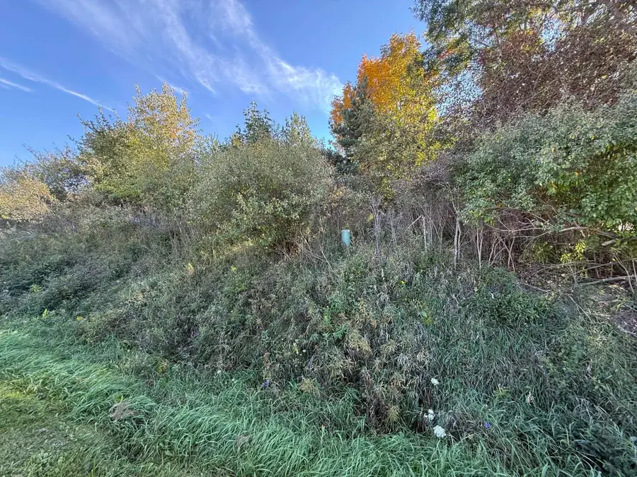 lot 67 Hamilton, Gladwin, MI 48624 - #3