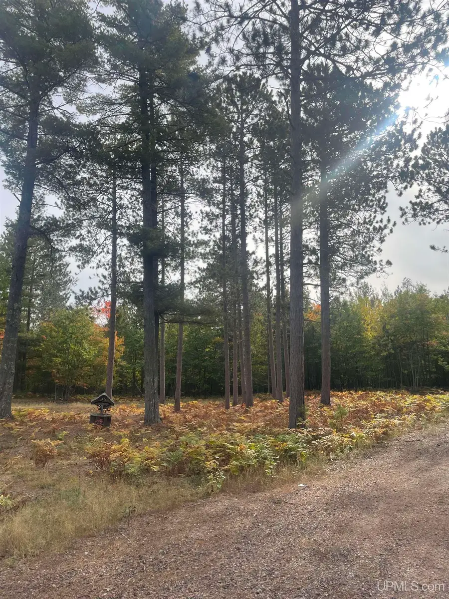 1 White Pine Way, Marquette, MI 49855 - #2