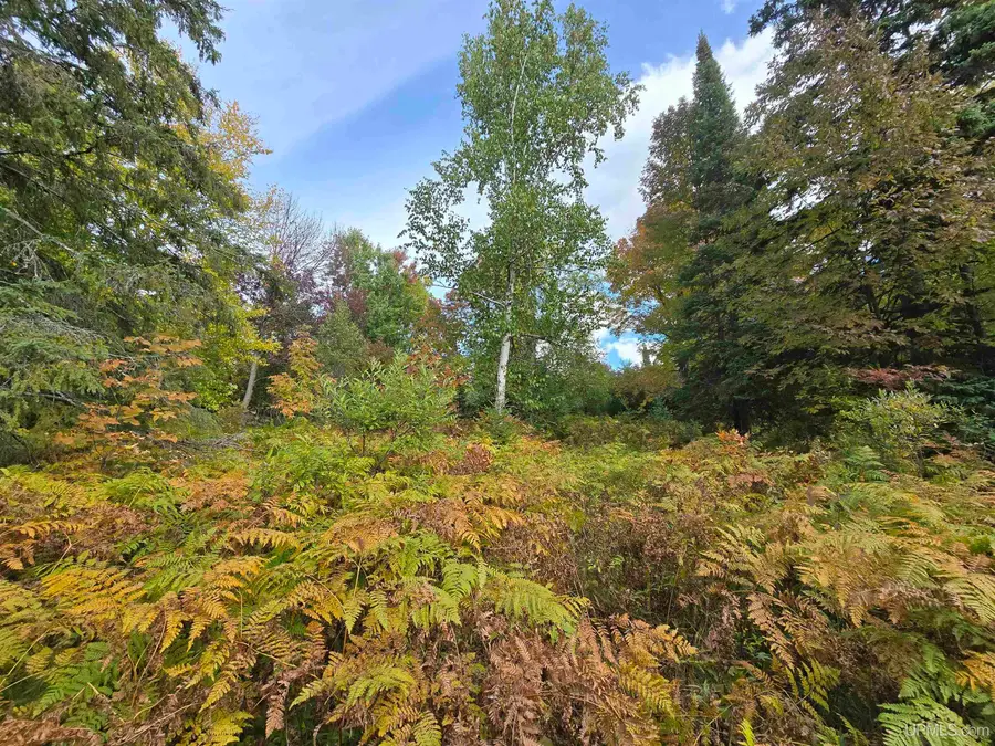 TBD Strangle, Bruce Crossing, MI 49912 - #2