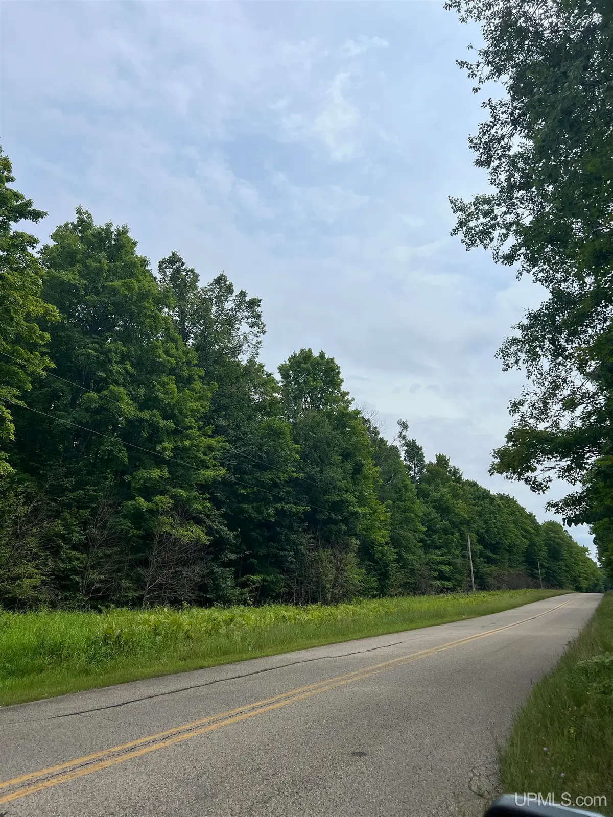 TBD Camp Five, Crystal Falls, MI 49920 - #1