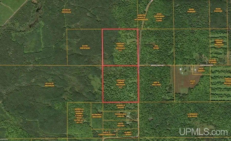 TBD Camp Five, Crystal Falls, MI 49920 - #3