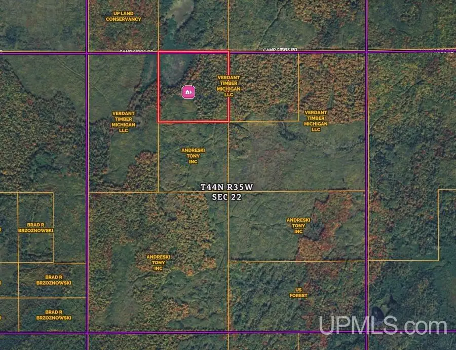 TBD Camp Gibbs, Iron River, MI 49935 - #2