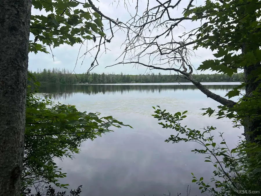 TBD Olson Loop, Iron River, MI 49935 - #2