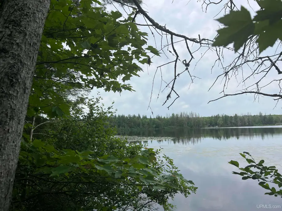 TBD Olson Loop, Iron River, MI 49935 - #3