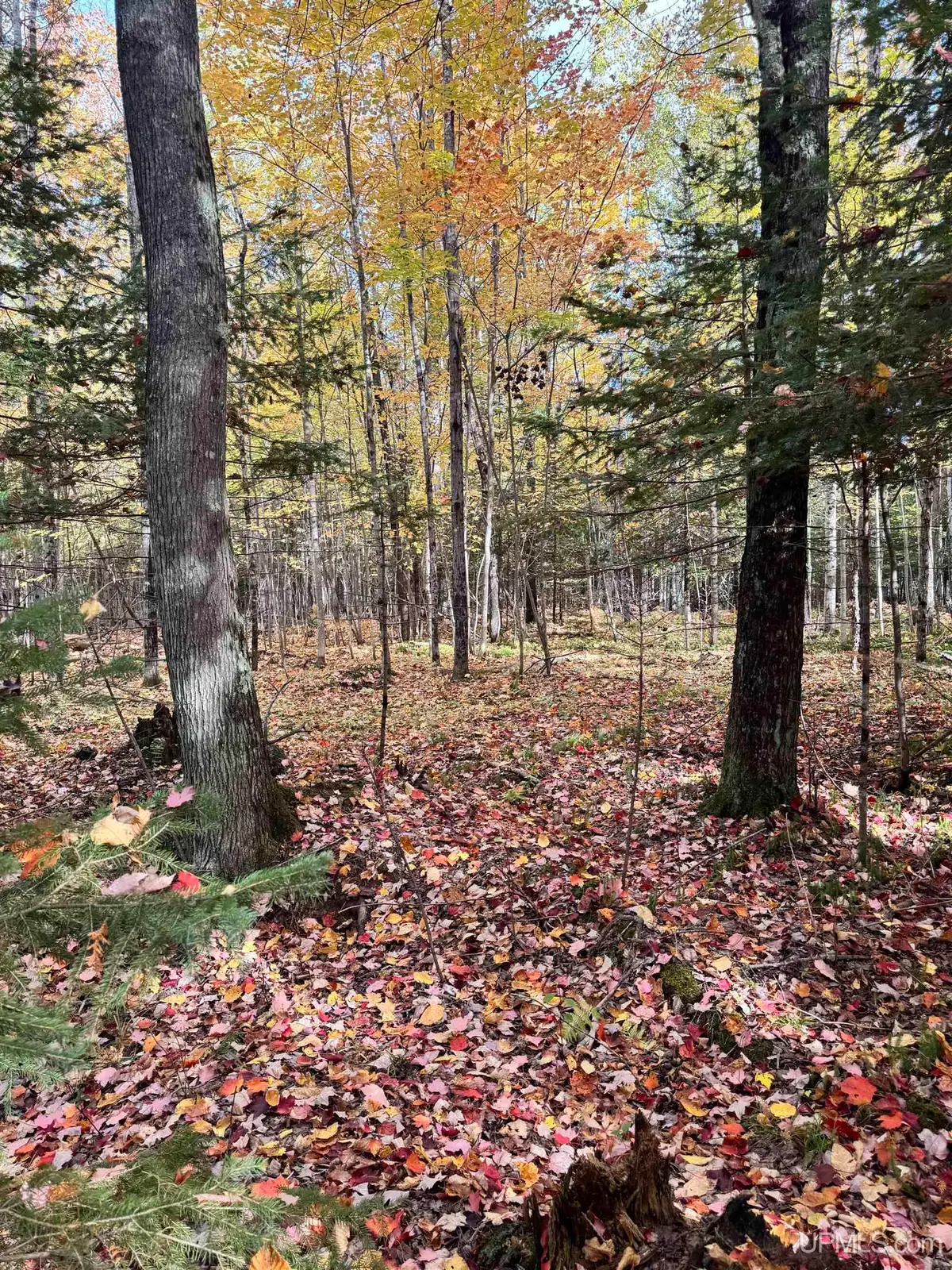 TBD Off 26th Rd, Gladstone, MI 49837 - #1