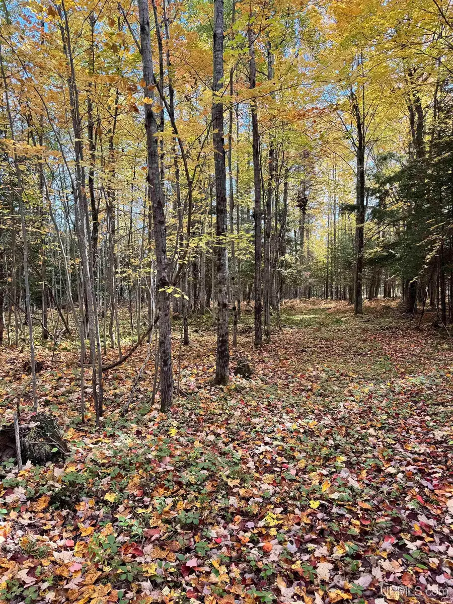 TBD Off 26th Rd, Gladstone, MI 49837 - #2
