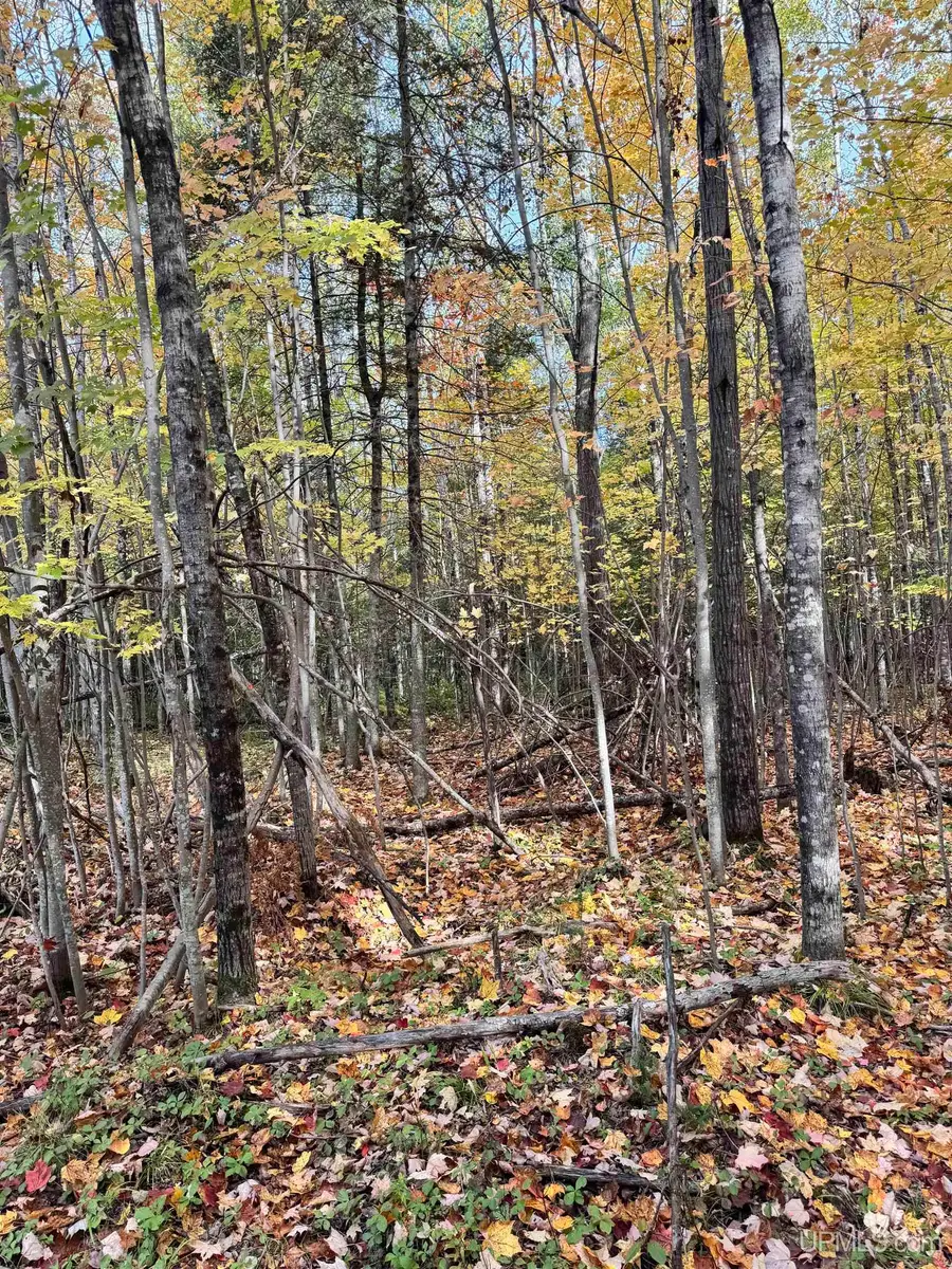 TBD Off 26th Rd, Gladstone, MI 49837 - #3