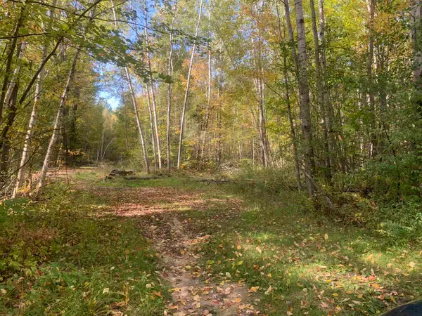 E West Branch, Saint Helen, MI 48656