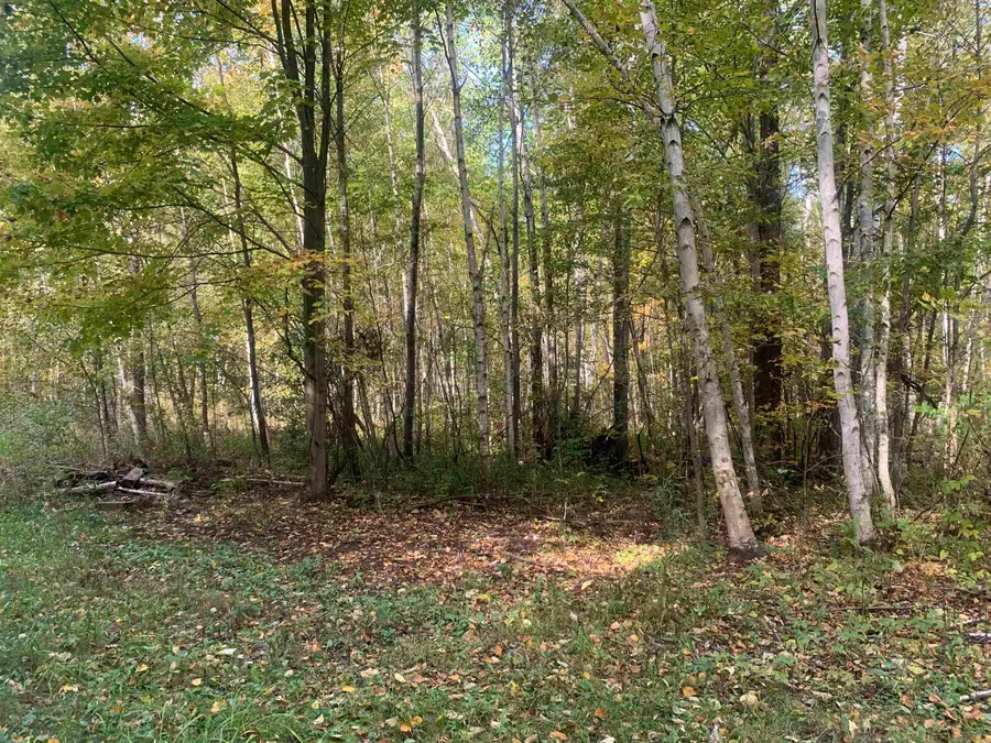 E West Branch, Saint Helen, MI 48656 - #2
