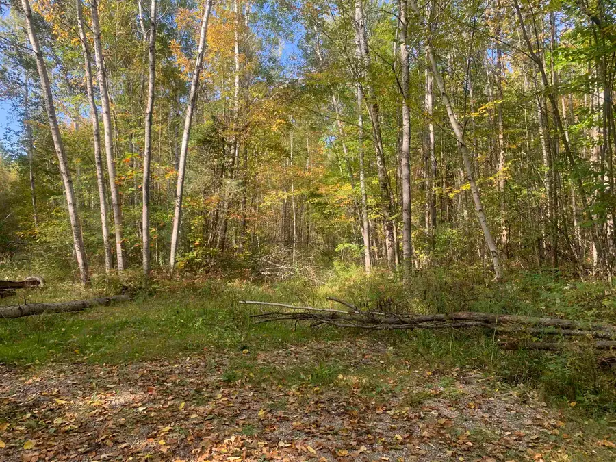 E West Branch, Saint Helen, MI 48656 - #3