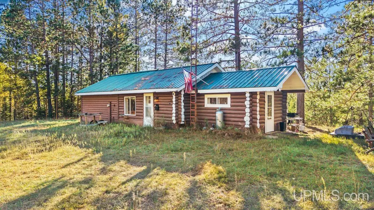 W3811 Browns Lake, Waucedah, MI 49892 - #1