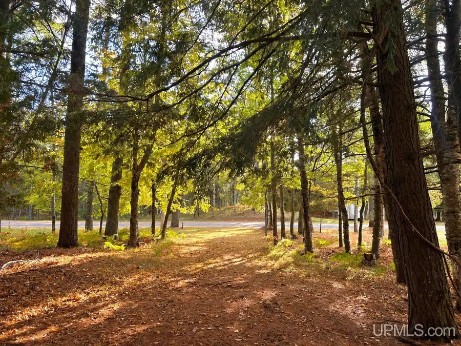 TBD W Gulliver Lake, Gulliver, MI 49840 - #2